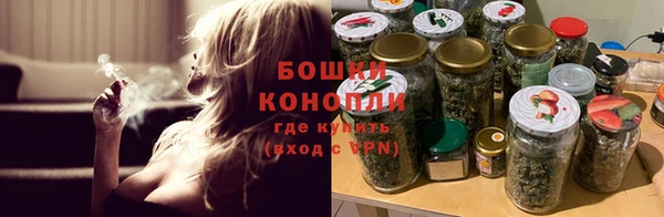 мдпв Няндома