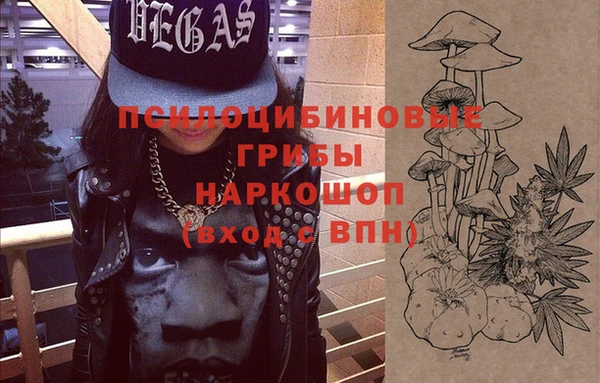 мдпв Няндома