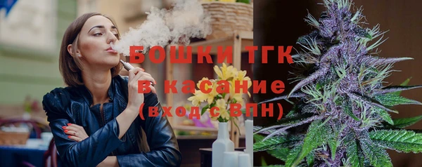 мдпв Няндома