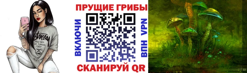 ссылка на мегу ССЫЛКА  Кимовск  Галлюциногенные грибы Psilocybine cubensis 